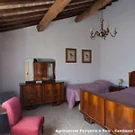 Pompone E Pola