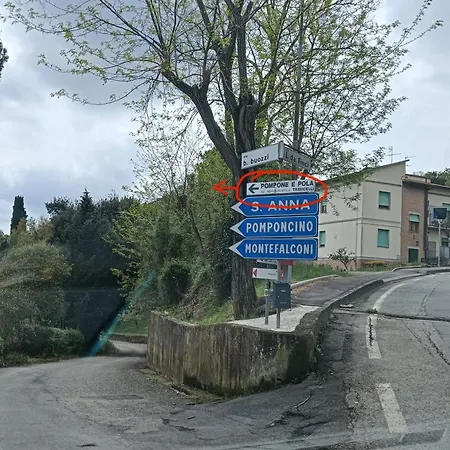 Pompone E Pola *