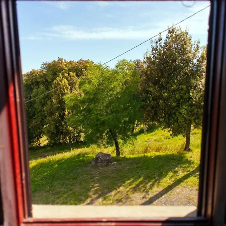 Nyaraló Pompone E Pola *